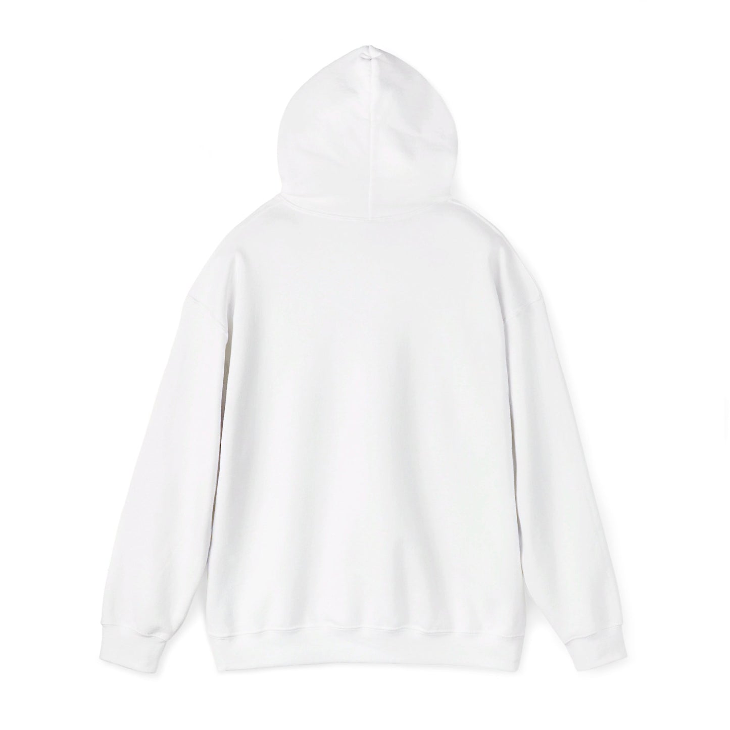 Anita Max Wynn Hooded Sweatshirt