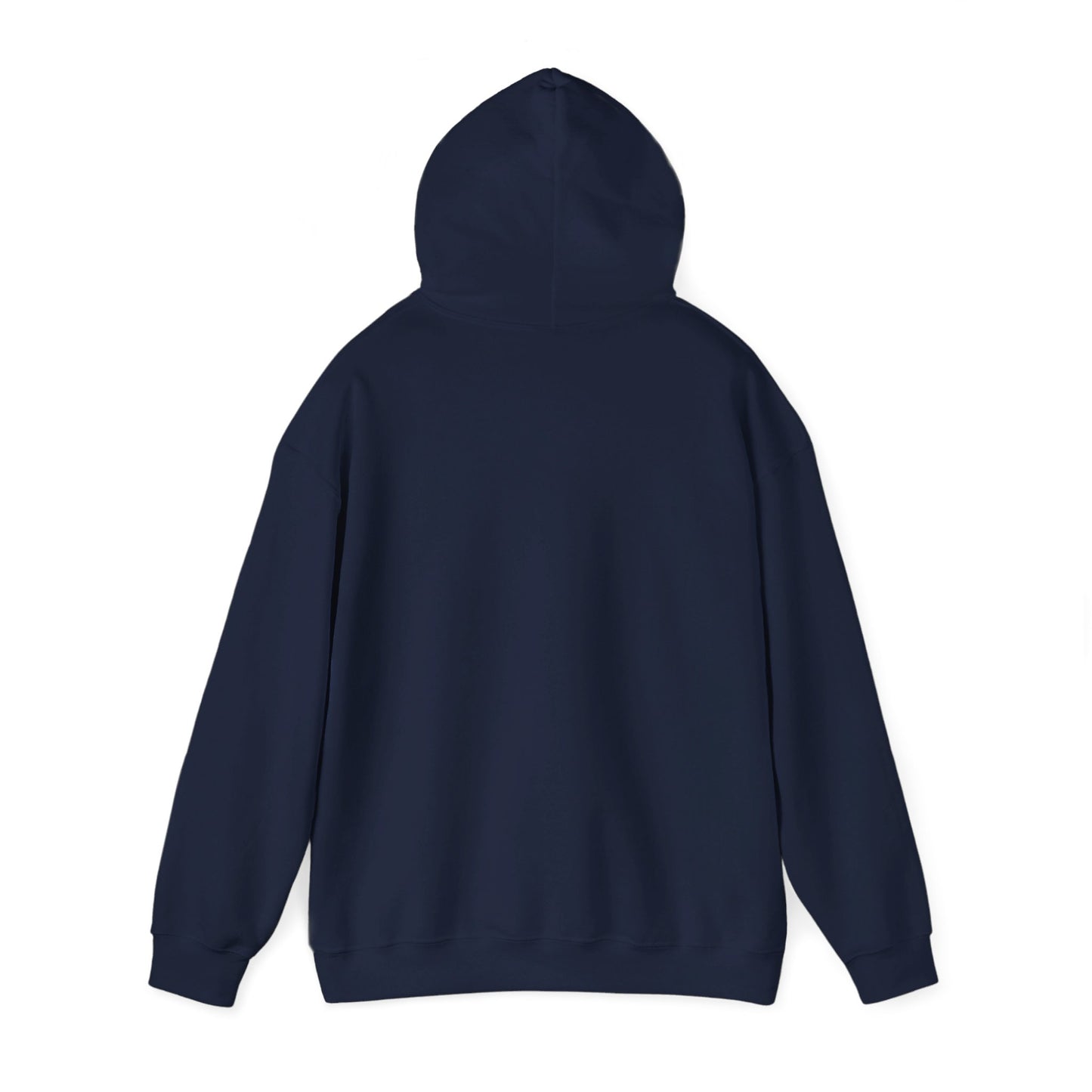 Anita Max Wynn Hooded Sweatshirt